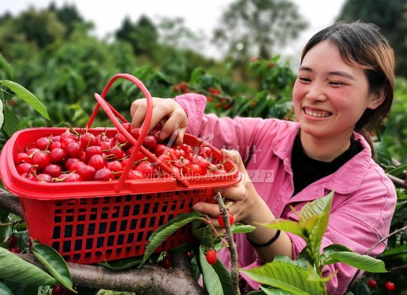 演艺界的璀璨明星，演员樱桃红闪耀舞台之路