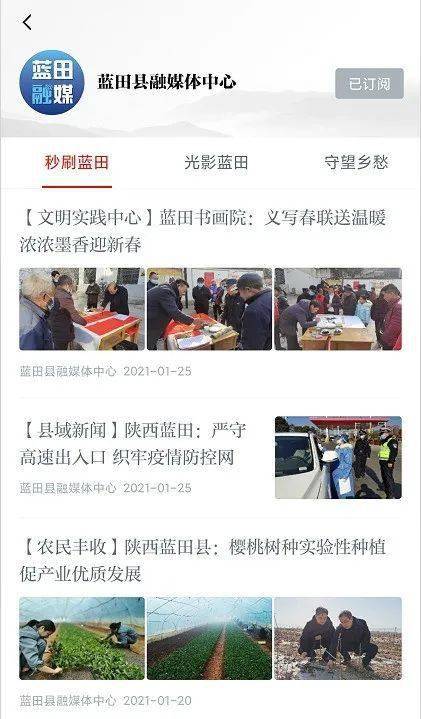 蓝田资讯深度解析，观点与影响力探究