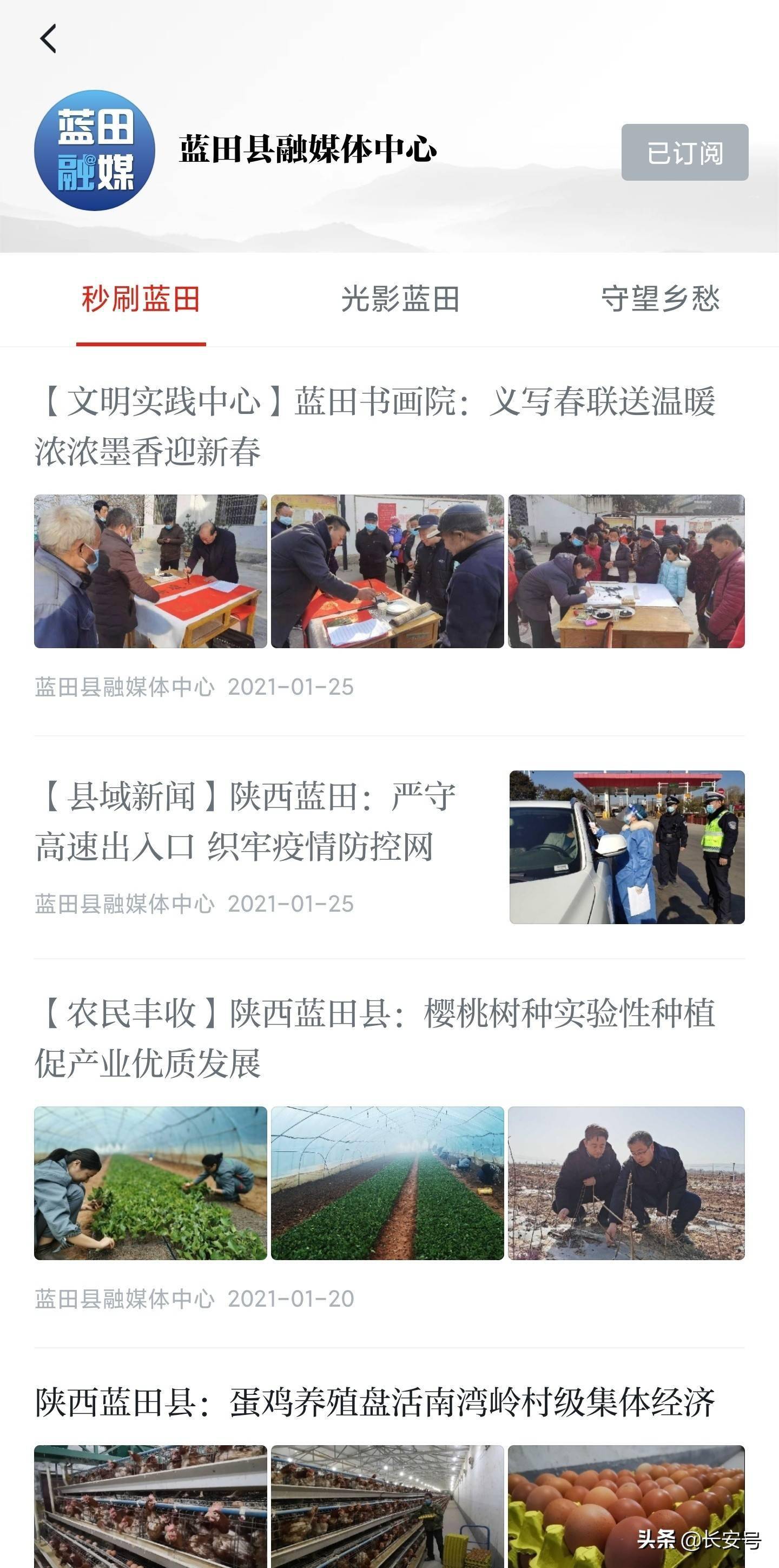 蓝田资讯深度解析,观点与影响力探究