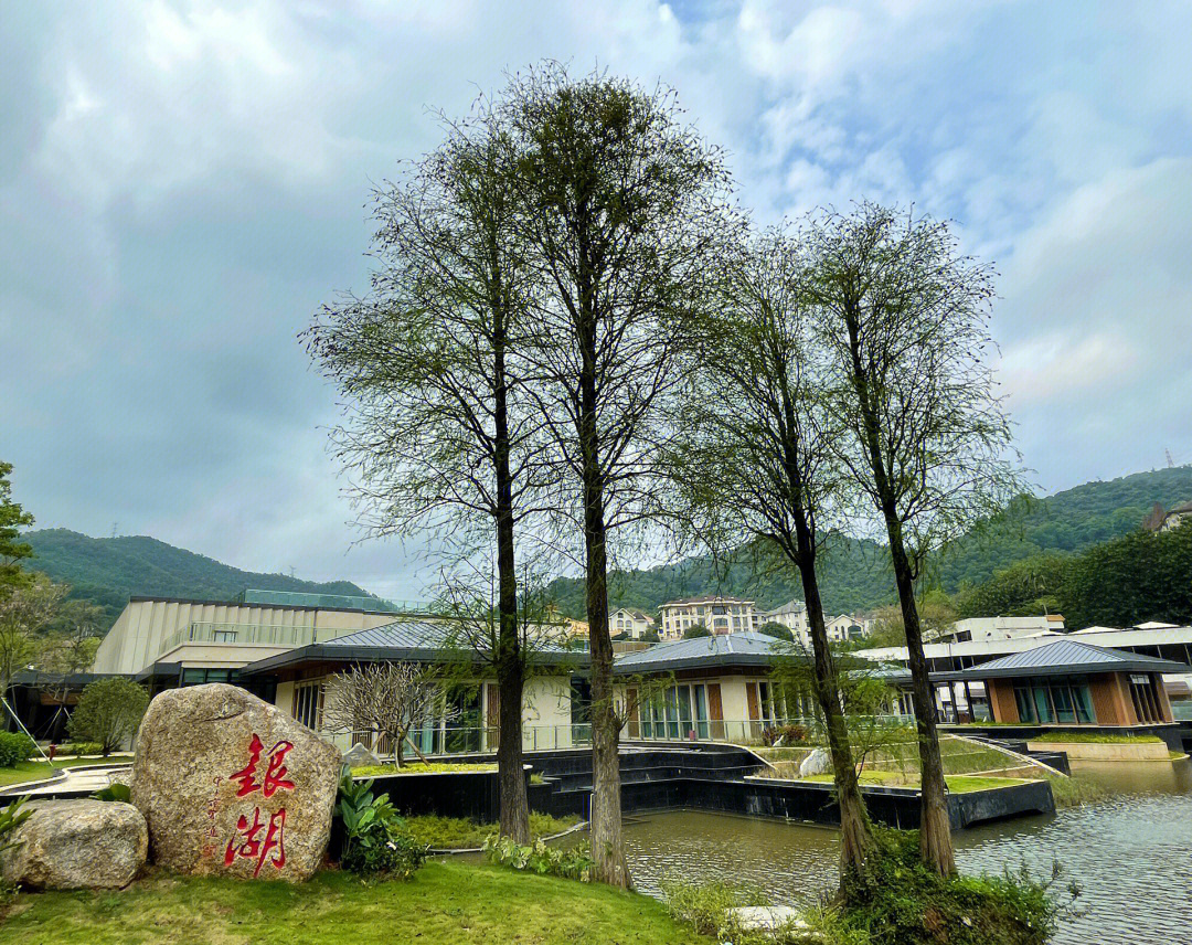 银湖网资讯，湖畔的温馨日常