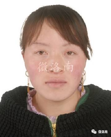 洛南最新老赖,洛南最新老赖，深度解析与应对之策