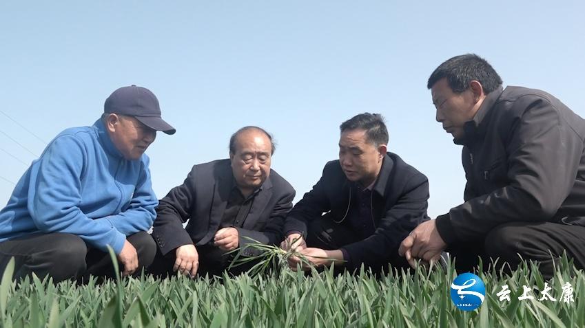 太康火车站周边探秘，小巷中的独特风味小店最新消息