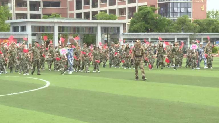 四会幼儿园最新招聘,探索自然美景,寻找内心宁静之旅