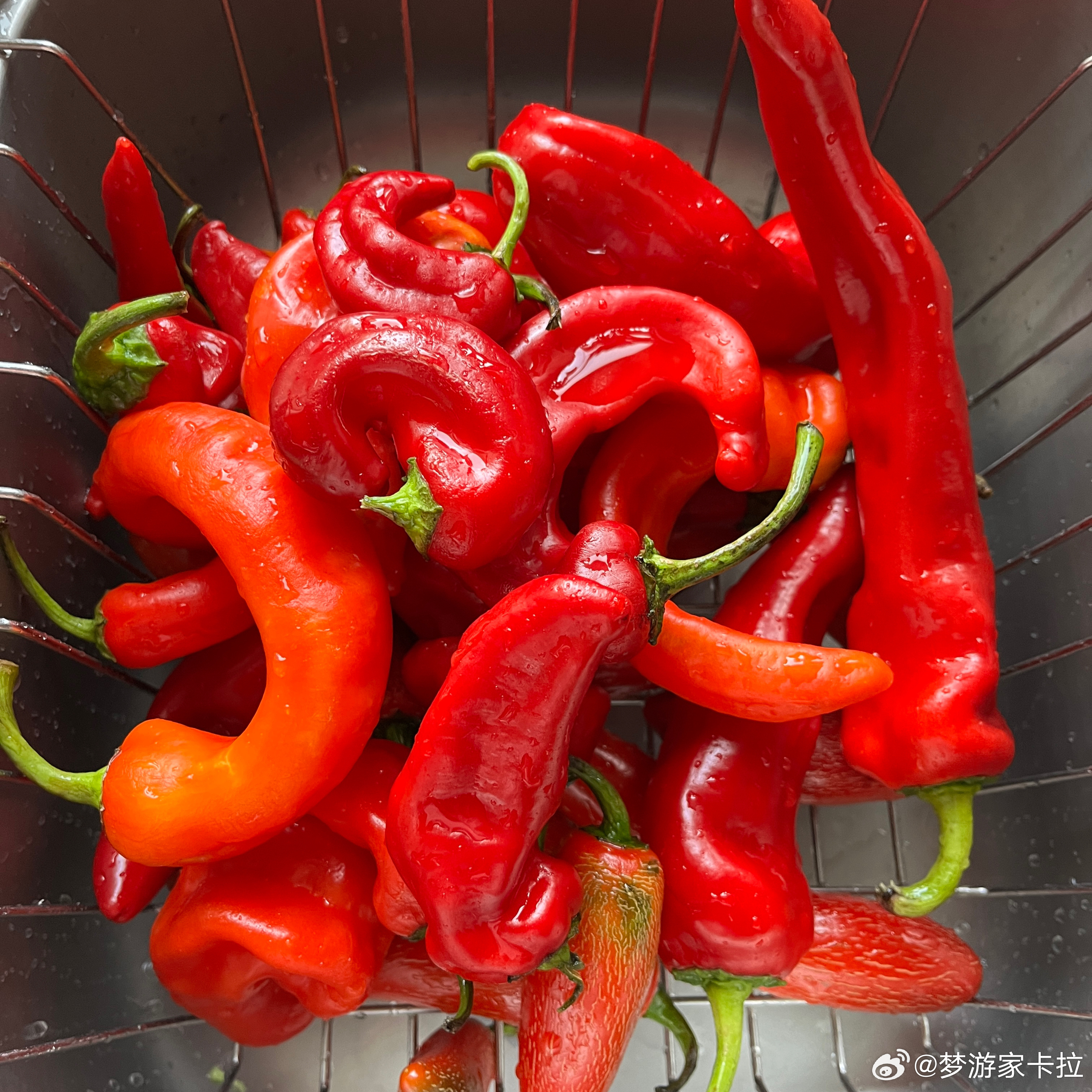 最新辣图，时尚潮流的视觉盛宴