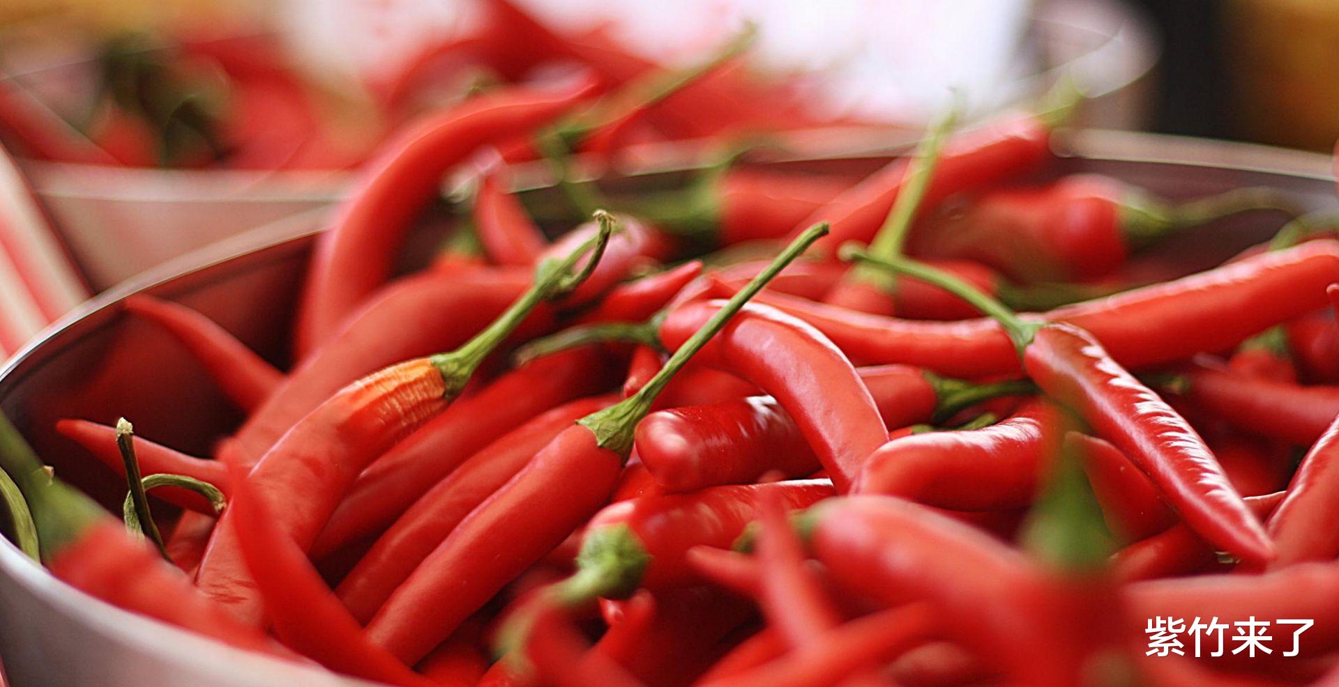 最新辣图，时尚潮流的视觉盛宴