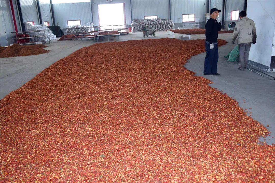 最新加工项目，智能穿戴科技产品加工介绍