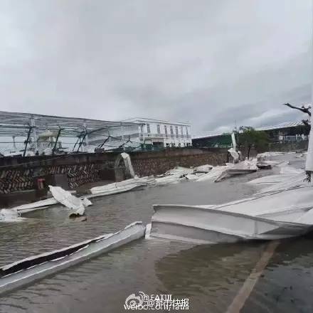 温州最新台风动态报道专题网