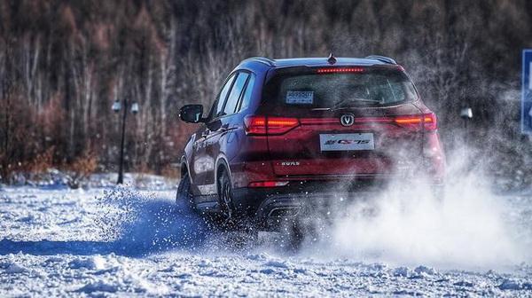 GSP最新版操作指南，从入门到精通的全面指导