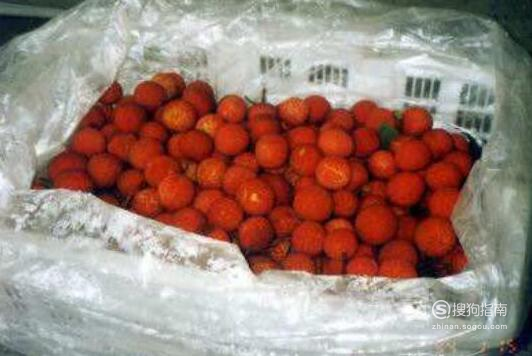 荔枝最新保鲜方法的观点论述与解析