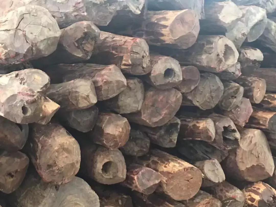 血檀最新价格走势及分析，市场趋势与影响因素深度剖析