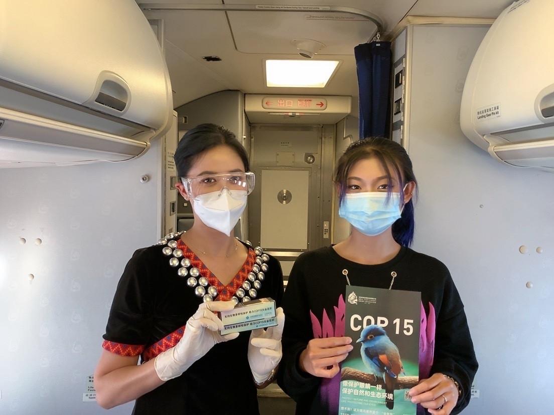 瑞丽最新消息,瑞丽最新消息,掌握全面,步步为赢——瑞丽资讯获取与任务完成指南