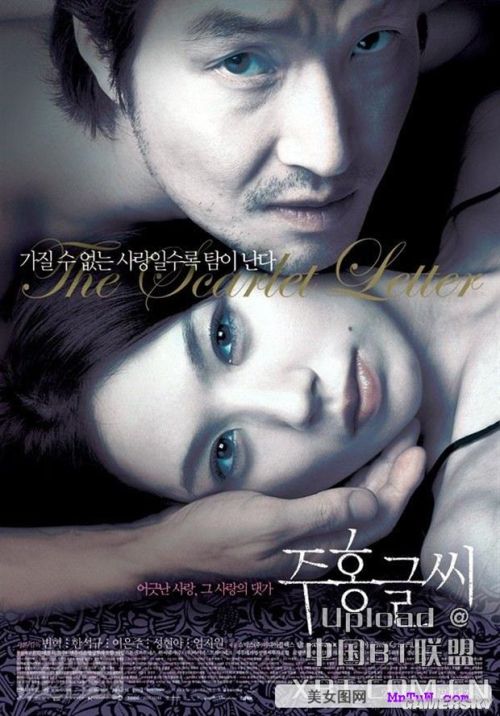 最新热门伦理电影，小巷深处的隐藏瑰宝