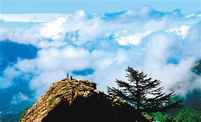 土地法最新变革,学习、自信与成就的力量之路