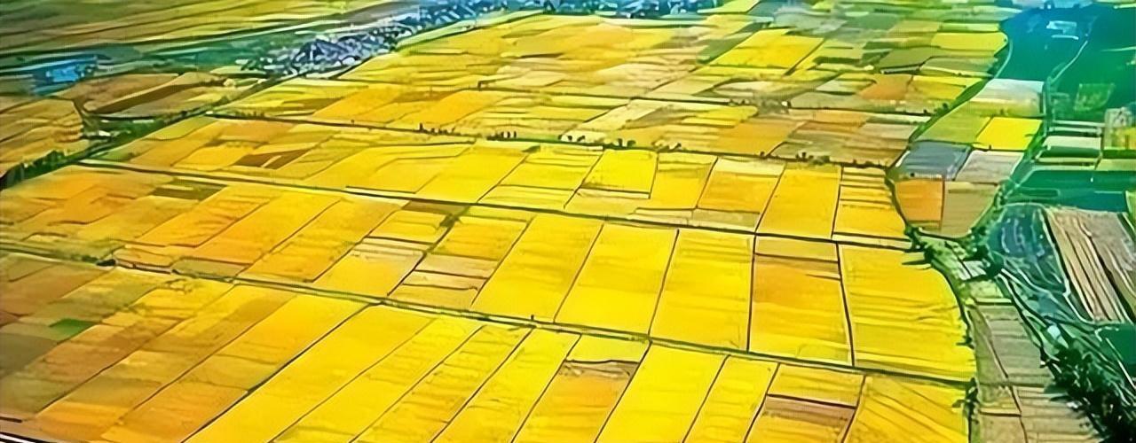 土地法最新变革,学习、自信与成就的力量之路