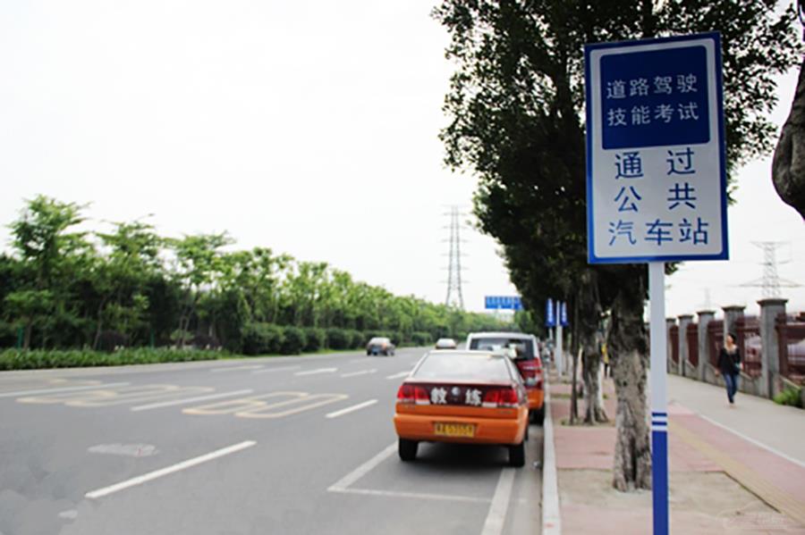 最新驾考科目三详解与论述