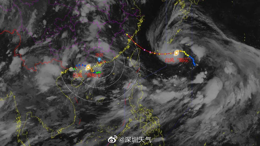 最新台风帕卡消息，台风动态与温馨日常趣事回顾