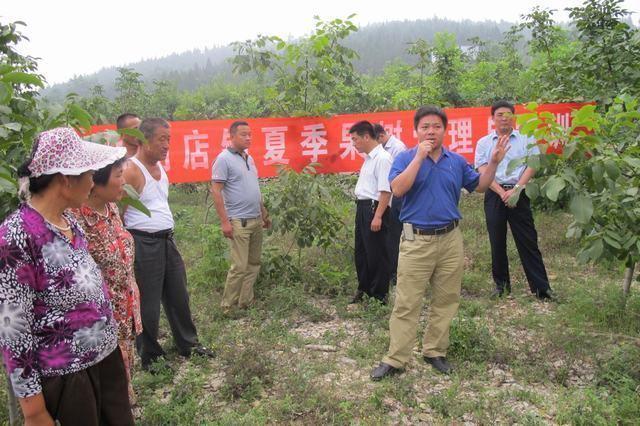 滕州房屋出租最新消息更新