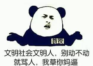 最新骂人网络流行语的探索与解析及启示