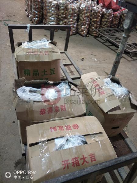 广东土豆价格最新行情与探索自然美景之旅