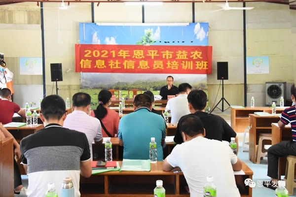 恩平人才网最新招聘，职场发展首选平台