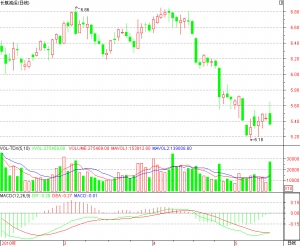 长航油运最新消息,自然美景探索之旅的心灵平静之旅