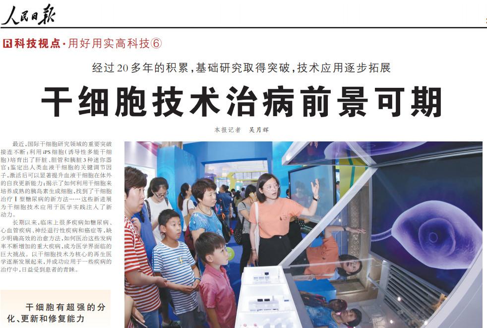 干细胞最新动态,爱与陪伴的温馨故事中干细胞的力量
