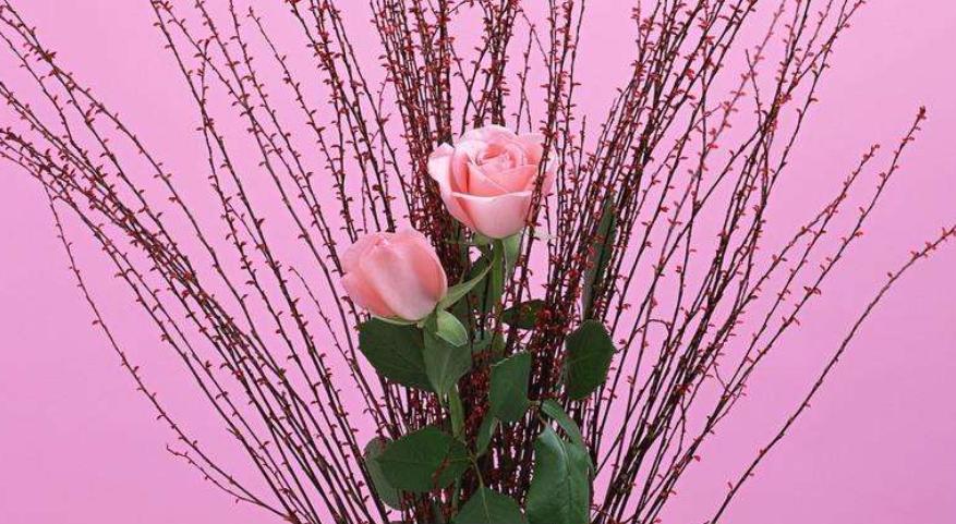 事业单位加薪最新动态，福利改革期待中的进展