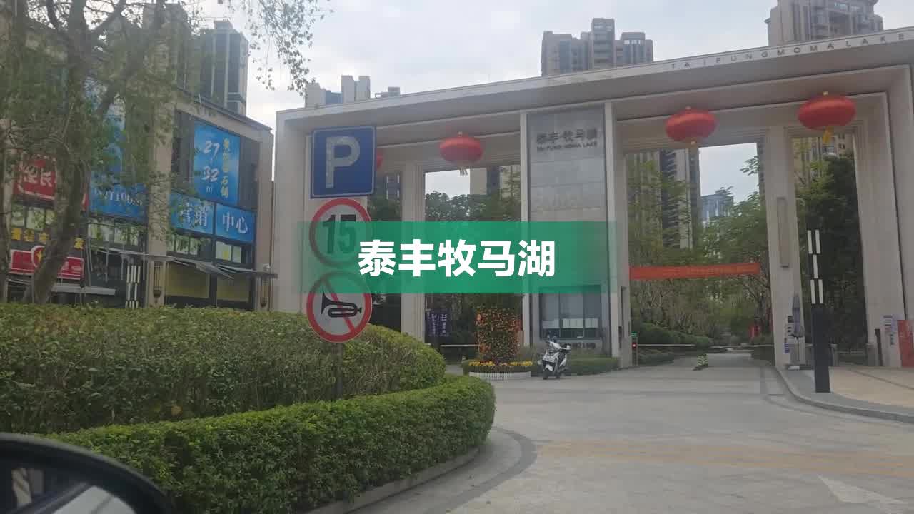 泰丰牧马湖最新动态，湖畔趣事与真挚友情的交织