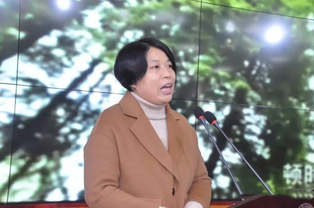 信阳吴家店最新消息概览，动态更新与概览全览返回搜狐，查看更多标题和内容。