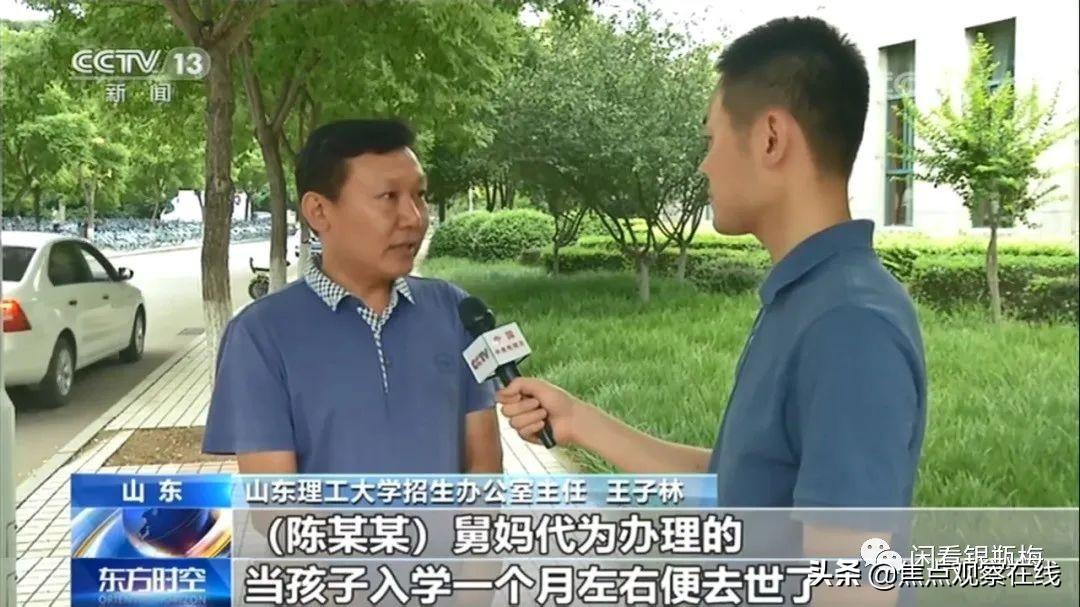 陈姓女孩诗意温馨名字大全,日常故事中的美好名字精选