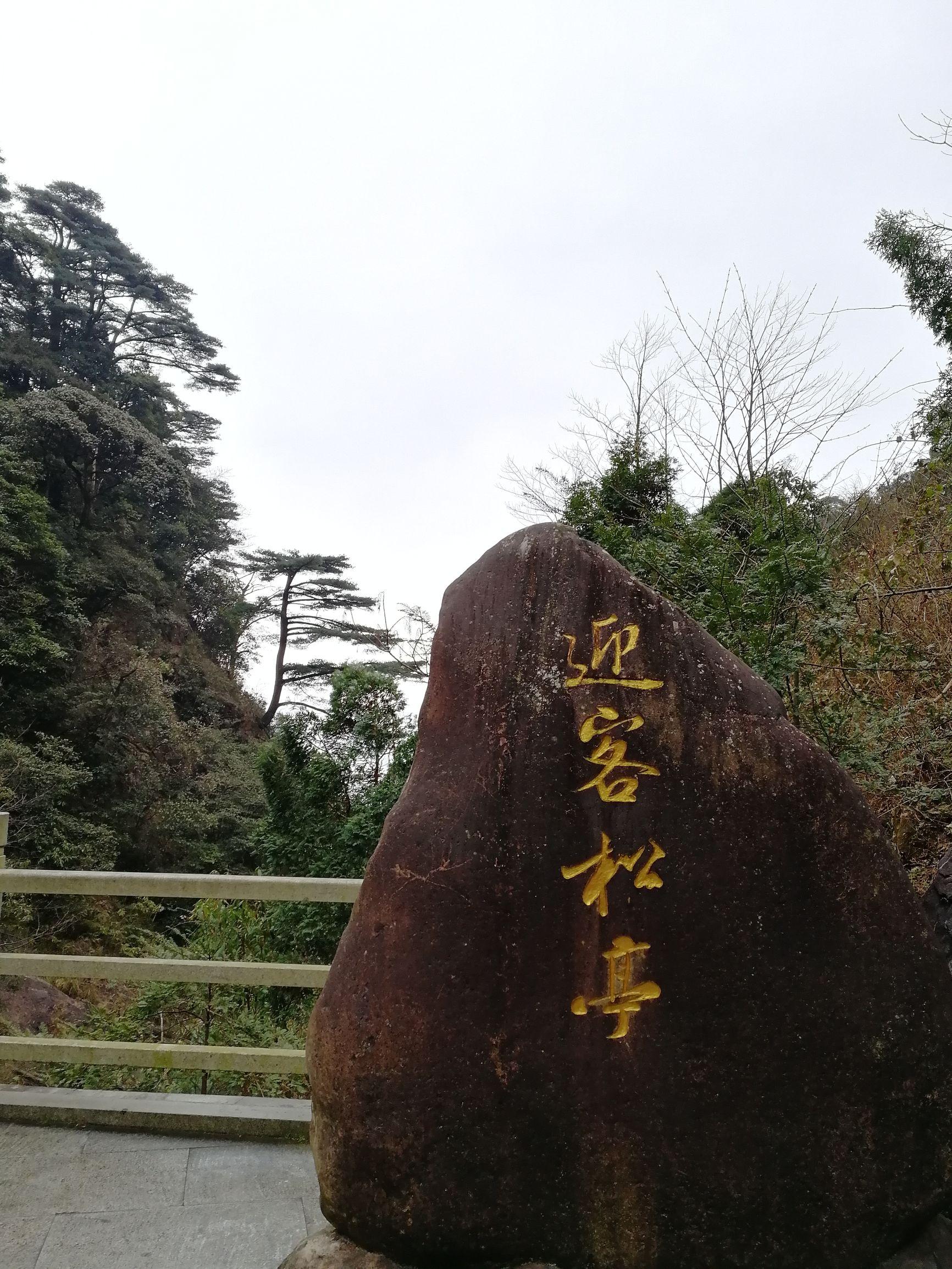 南岭国家公园最新动态，生态保护与旅游发展实现双赢之路