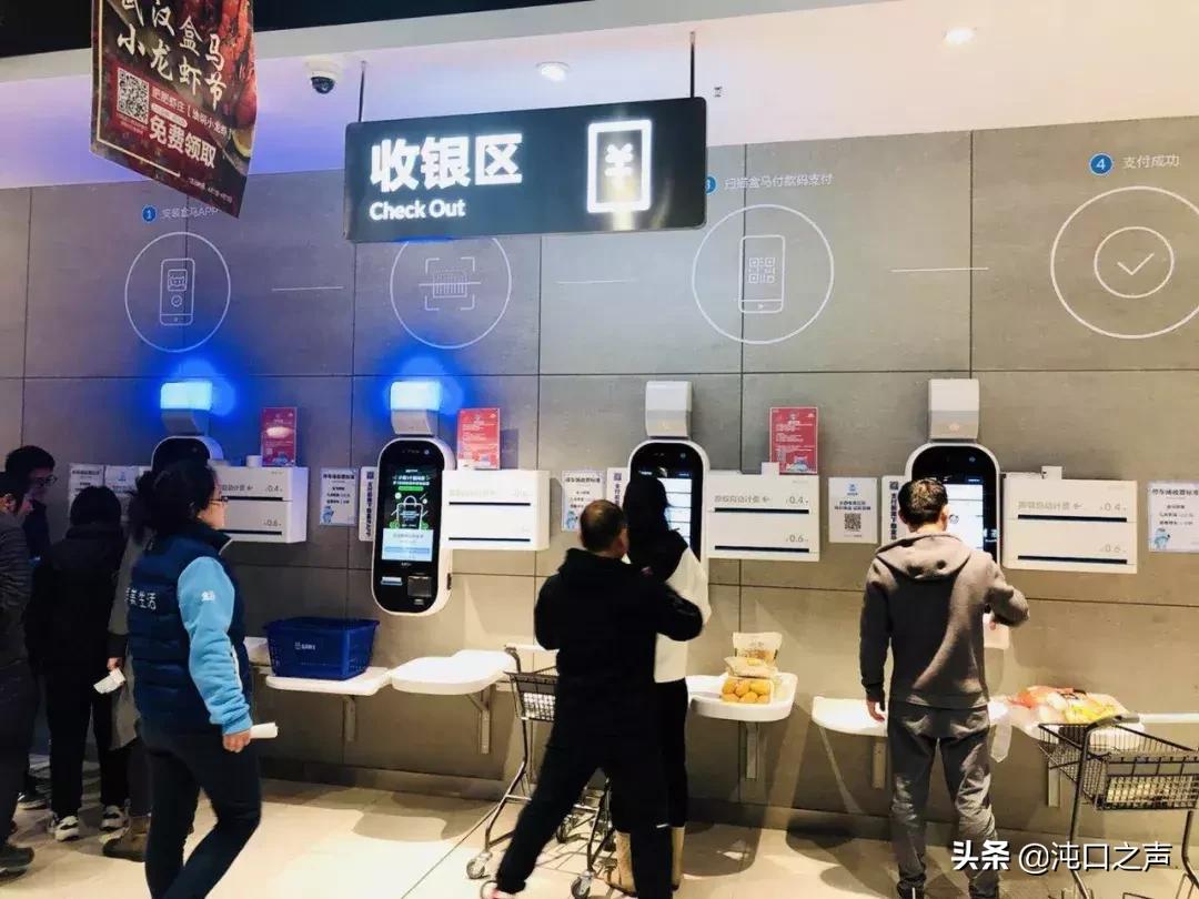 健龙果岭公元最新消息大全，全面了解与参与指南