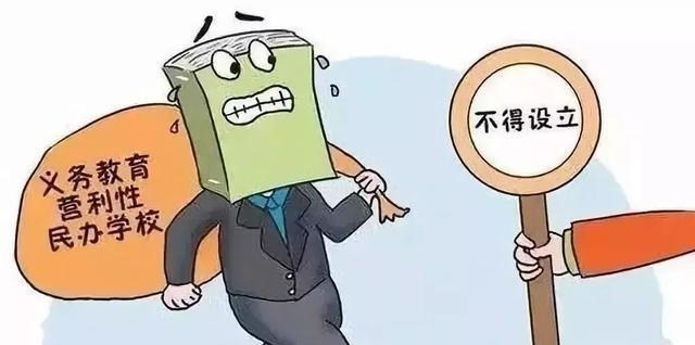 民办学校最新政策详解，任务指南与技能学习手册全攻略