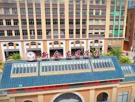 新会东区学校,小巷深处的教育瑰宝与隐藏的美食秘境揭秘