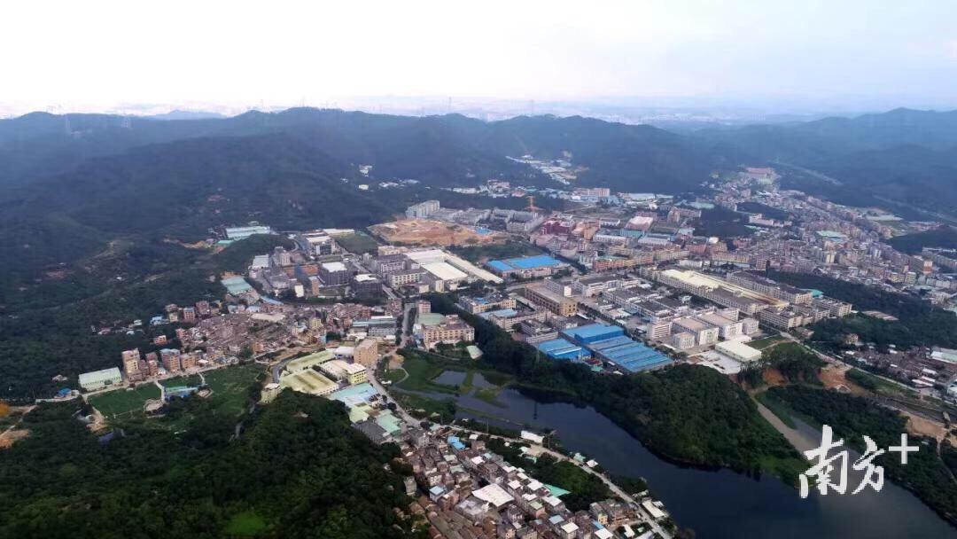 社区工作新亮点，巷弄深处的特色小店探秘