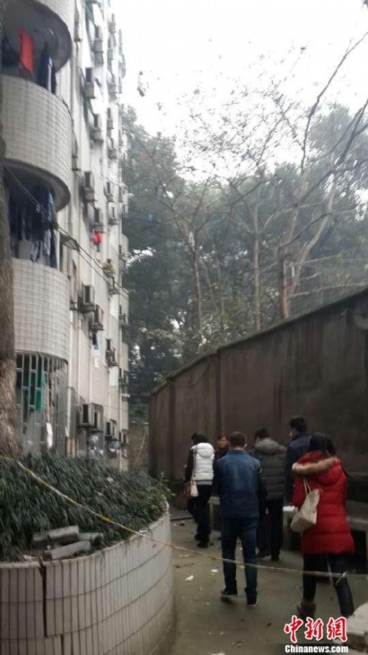 泸州学生死亡最新消息，自然之旅背后的悲痛与寻找内心宁静之路