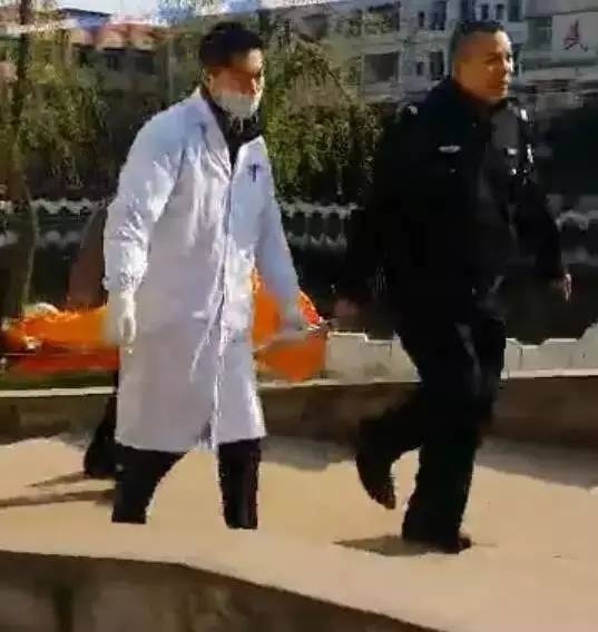 泸州学生死亡最新消息，自然之旅背后的悲痛与寻找内心宁静之路