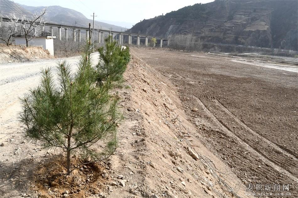 麦积区伯阳镇最新动态,麦积区伯阳镇最新动态，发展脉搏与未来展望