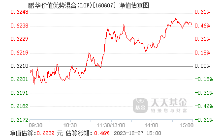 鹏华价值基金净值最新动态,探索特色小店的宝藏之路
