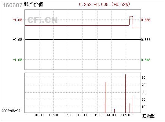 鹏华价值基金净值最新动态,探索特色小店的宝藏之路