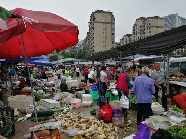 北碚房价走势最新动态，时代印记与未来展望