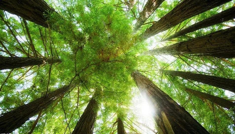 江苏东珠景观的最新动态,变化中的美景与自我成长的自信与成就感