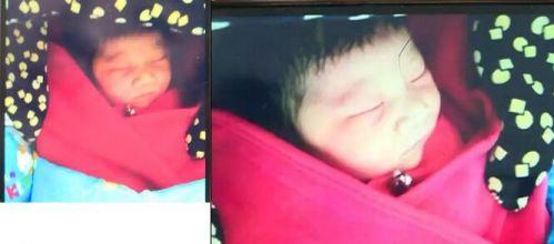 农安被埋女婴最新情况更新