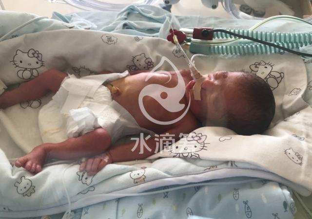 农安被埋女婴最新情况更新