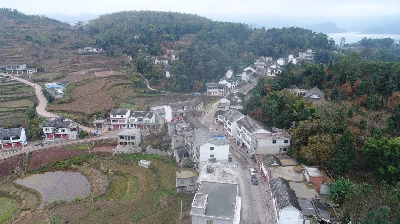 大方县背座村最新状态详解，发展指南与最新动态