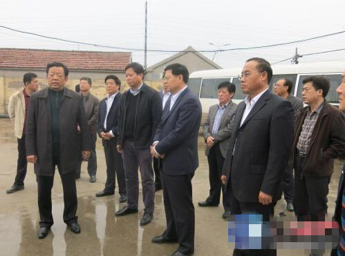 东营利津新闻最新动态,自然之旅的心灵觉醒