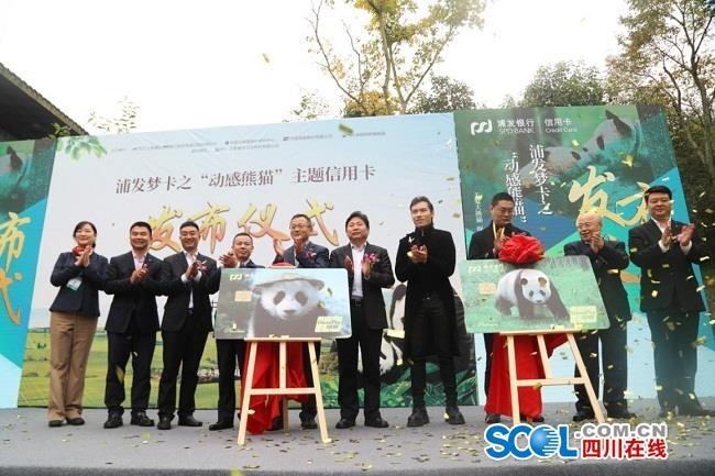 浦发成都分行最新动态,力量变革与成长旋律的自信展示