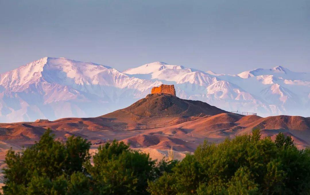 酒泉红柳广告最新一期，时代印记与文化传承的交融展现