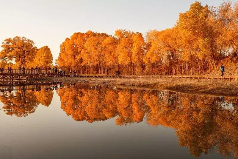酒泉红柳广告最新一期，时代印记与文化传承的交融展现