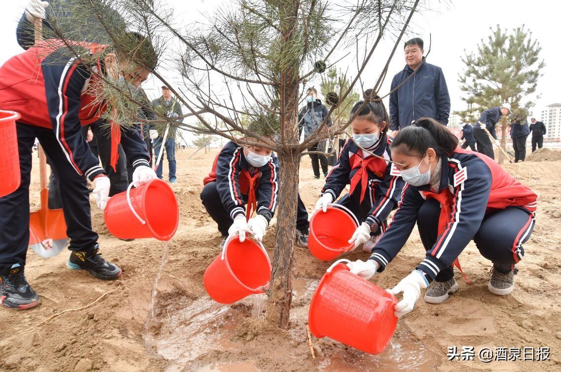 酒泉红柳广告最新一期，时代印记与文化传承的交融展现